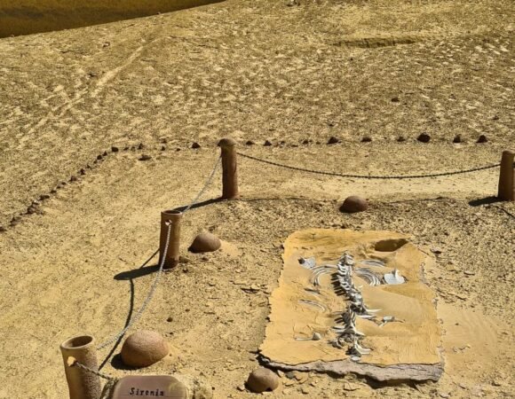 Fayoum Egypt Travel Guide Wadi El Rayan Wadi El Hitan Day Trip From Cairo