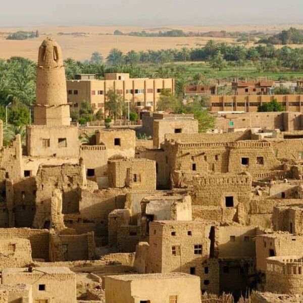 Dakhla And Kharga Oasis Tour 3 Days Western Desert Temples Villages And Hot Springs