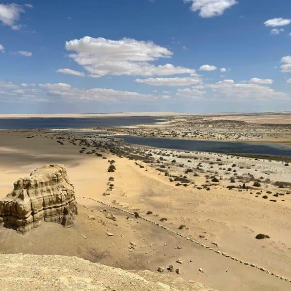 Fayoum Day Trip From Cairo Wadi El Rayan Tunis Village And Desert Safari